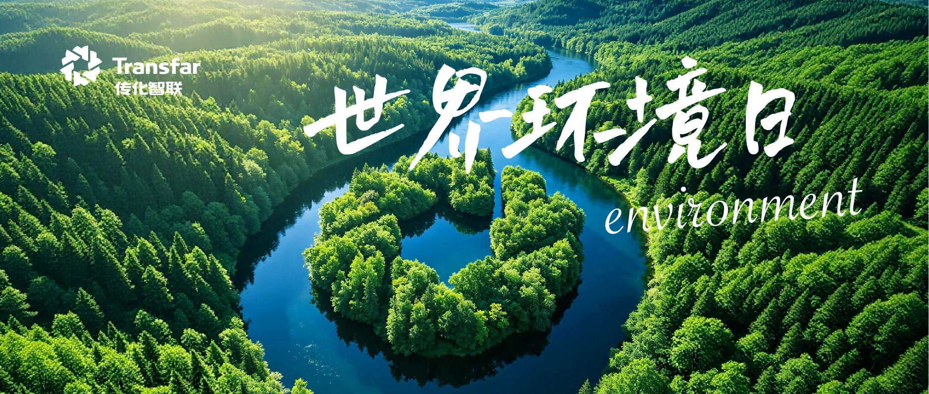 世界环境日 | 全面绿色转型，传化步履一向